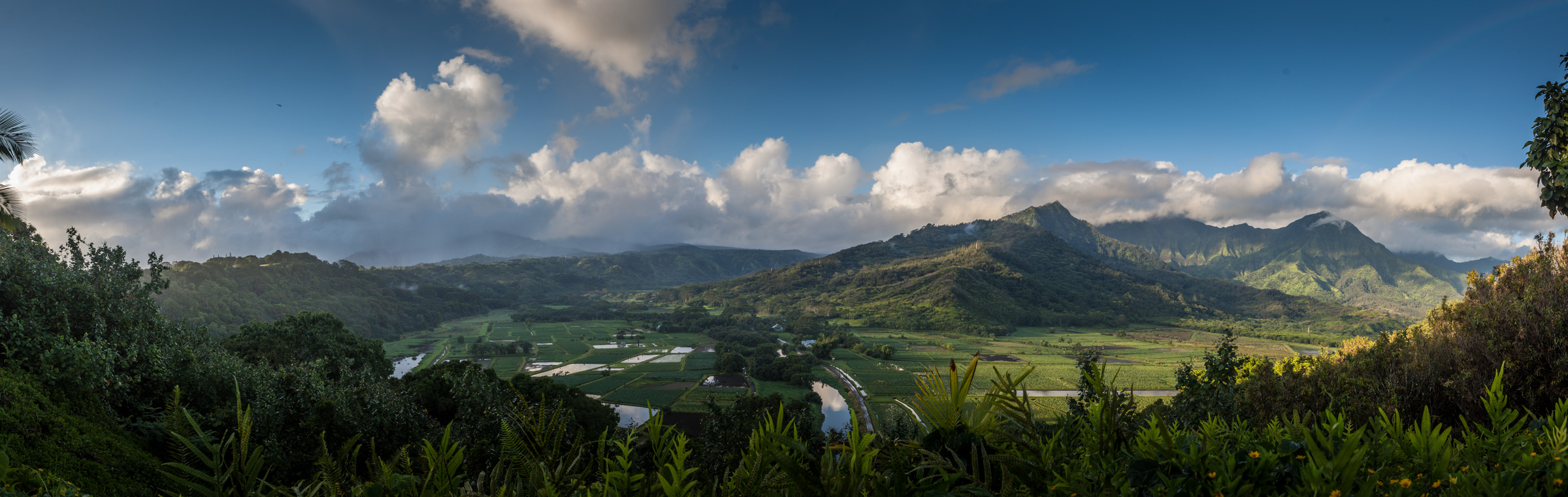 _MG_5462-Pano